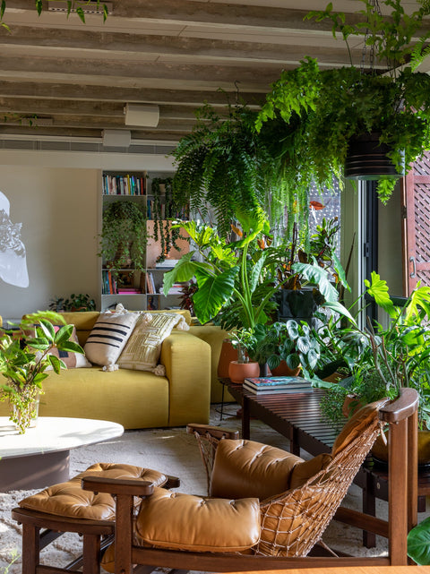 The Nature at Home Collection