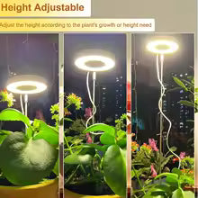 LED Plant Grow Lamp