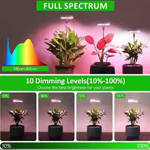 LED Plant Grow Lamp