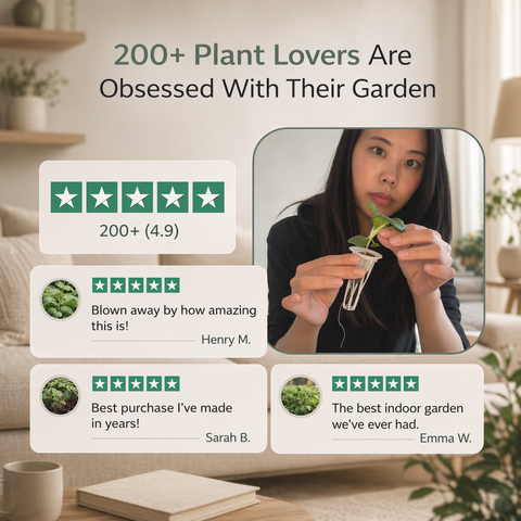 LiveLona Smart Indoor Hydroponic Garden System (12-Pod Home Grow Kit)