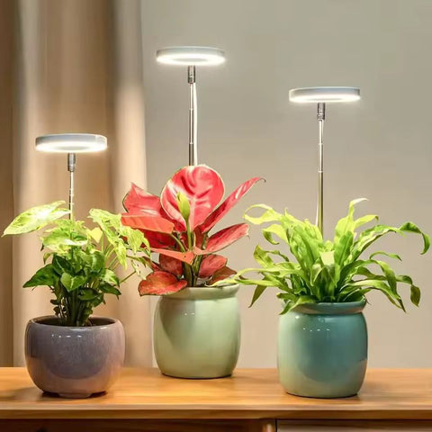 LED Plant Grow Lamp