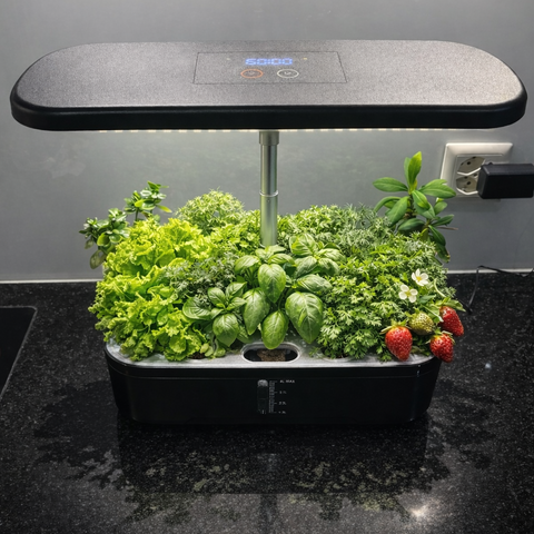 Smart indoor garden with LED light on a dark surface